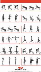 Exercise Routines With Dumbbells Photos