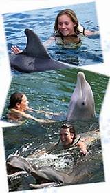 Swim With Dolphins Florida