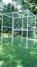 Cat Fencing Enclosures Photos