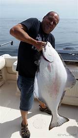 Halibut Fishing In Canada Images