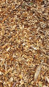 Mulch Chips Wood