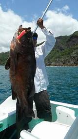 Images of Papagayo Sport Fishing Costa Rica