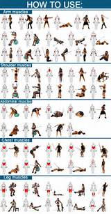 Fitness Exercises Guide