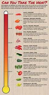 Chili Pepper Heat Index Pictures