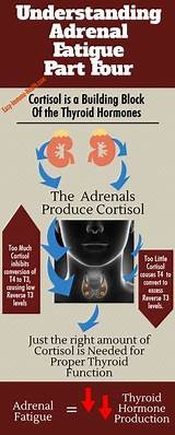 Photos of How Do Doctors Test Your Thyroid