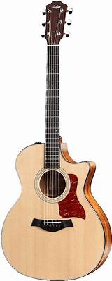 Taylor Guitar 314ce Review Images