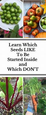 Photos of When To Start Planting Seeds For Your Garden