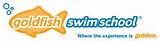 Goldfish Swim School Chicago Images
