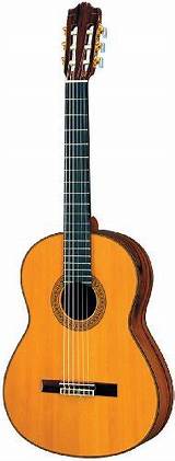 Best Place To Buy Acoustic Guitars Online Pictures