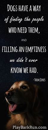 Pictures of Inspirational Quotes About Losing A Pet