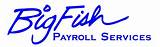 Big Fish Payroll Services Pictures