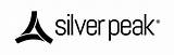 Silver Peak Wan Optimization Review
