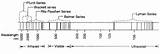 Images of Hydrogen Line Spectrum