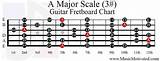 Guitar Major Scales Pictures