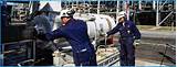 Marine Electrical Courses Online Pictures