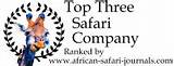 Top Safari Companies Photos
