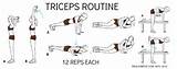 Workout Routine How To