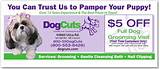 Dog Bathing Services Near Me Pictures