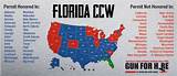 Florida Concealed License