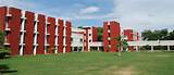 Aligarh Muslim University Medical College Fees Images