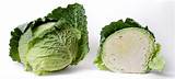 Pictures of Can Rabbits Eat Cabbage