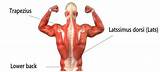 Images of Core Muscles Explained