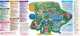 Walt Disney World Park Maps Pictures