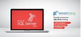 Cheap Sql Server Hosting