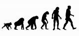 Theory Of Evolution Of Humans Pictures