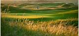 Golf Package Ireland Pictures