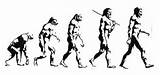 Theory Of Evolution Of Humans Images