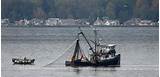 Best Fishing Boat For Puget Sound Photos