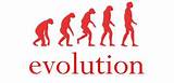 Do You Believe In The Theory Of Evolution Photos