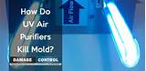 Air Purifiers For Mold Control