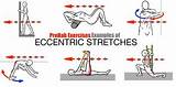 Muscle Strengthening Exercises Examples Images