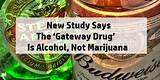 Is Marijuana A Gateway Drug Study Photos