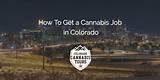 Jobs In The Marijuana Industry In Colorado