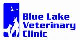 Lake Veterinary Clinic