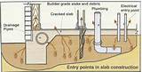 Post Construction Anti Termite Treatment Procedure Pictures
