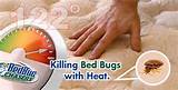 After Heat Treatment For Bed Bugs Pictures