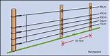 How To Build High Tensile Fence For Cattle Images