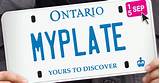What Do You Need To Renew License Plate Sticker Images