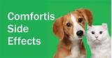 Side Effects From Heartgard For Dogs Photos