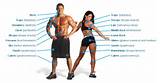 Exercise Muscle Groups Images