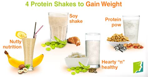 Can You Gain Weight From Protein Shakes Images