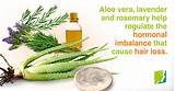 Pictures of Aloe Vera For Baldness Treatment