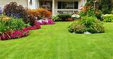 Images of Front And Backyard Landscaping