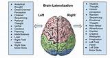 What Part Of The Brain Controls Speech And Motor Skills Photos