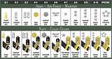 Images of Ranks In The Army