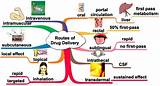The Parenteral Route Of Administering Medications Is Used Pictures